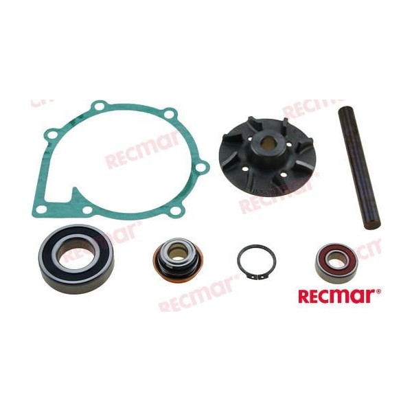 Kit Reparación Bomba Volvo 876794