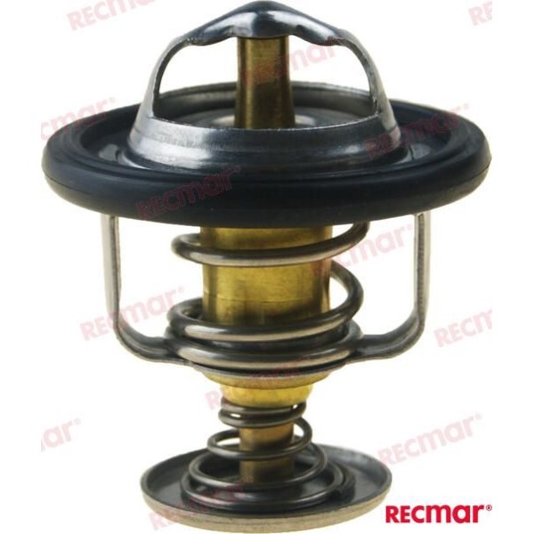 Termostato Yanmar 128990-49800